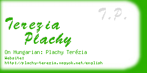 terezia plachy business card